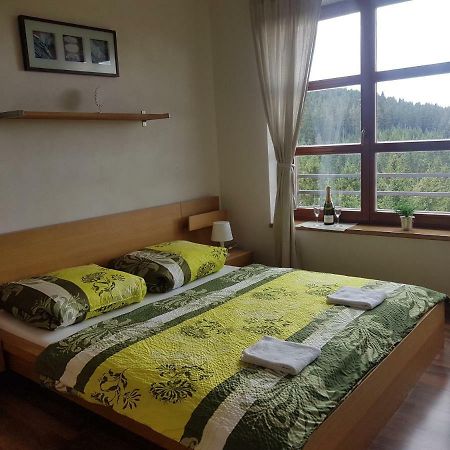 פץ פוד סניישקו Vysokohorsky Apartman Cihlarka מראה חיצוני תמונה