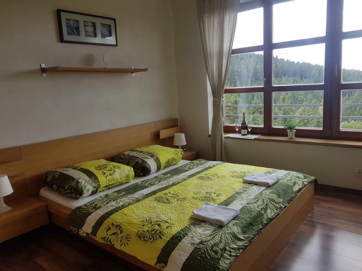 פץ פוד סניישקו Vysokohorsky Apartman Cihlarka מראה חיצוני תמונה